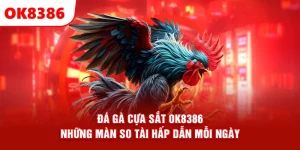 Đá Gà Cựa Sắt OK8386 – Những Màn So Tài Hấp Dẫn Mỗi Ngày