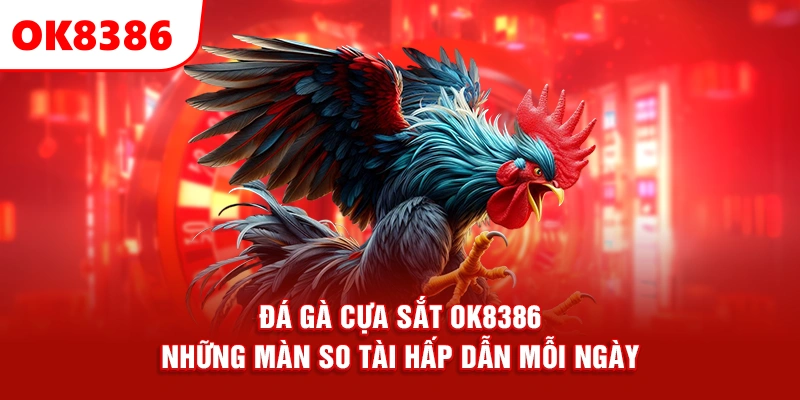 Đá Gà Cựa Sắt OK8386 – Những Màn So Tài Hấp Dẫn Mỗi Ngày