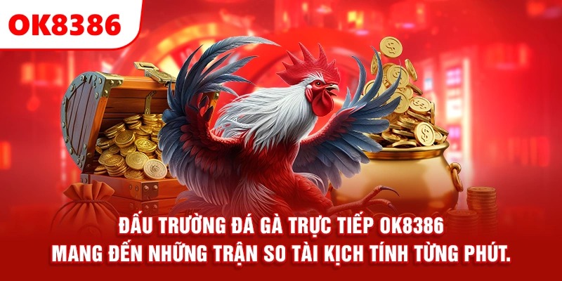 Đấu trường đá gà trực tiếp OK8386 mang đến những trận so tài kịch tính từng phút.