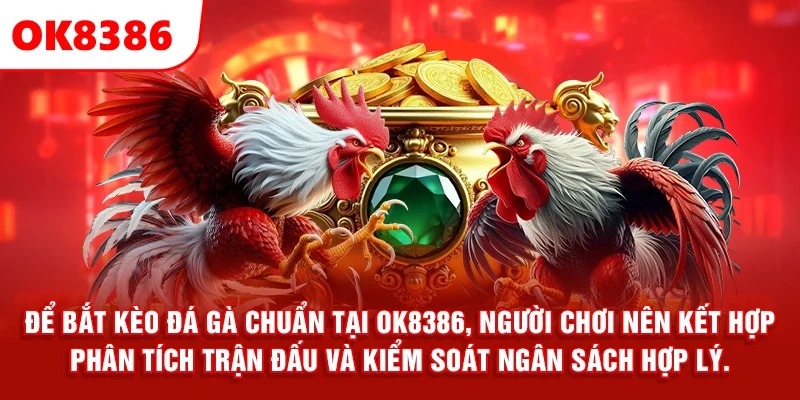 Để bắt kèo đá gà chuẩn tại OK8386, người chơi nên kết hợp phân tích trận đấu và kiểm soát ngân sách hợp lý.