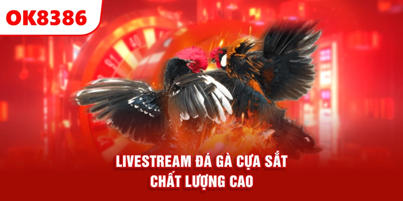 livestream đá gà cựa sắt chất lượng cao