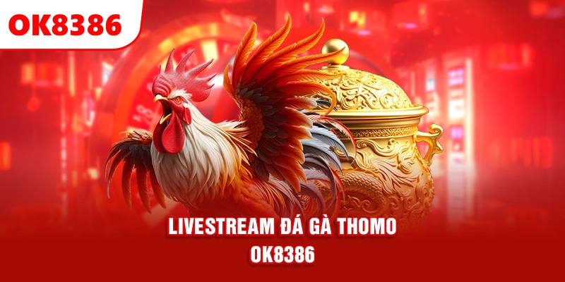 livestream đá gà Thomo OK8386