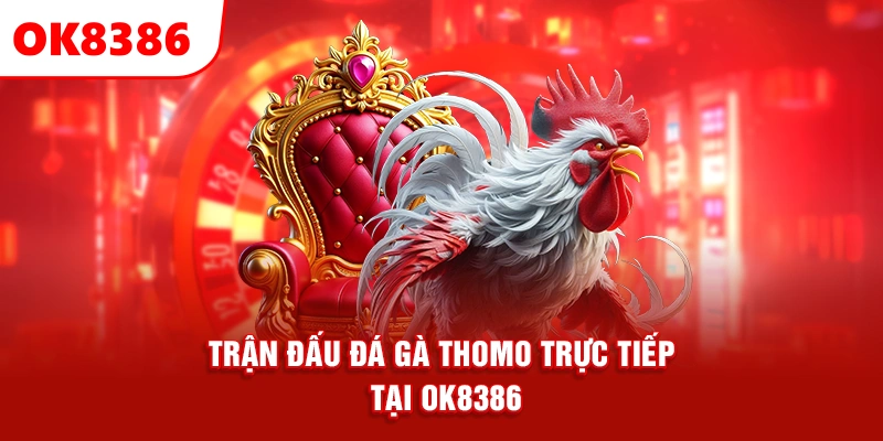 trận đấu đá gà Thomo trực tiếp tại OK8386