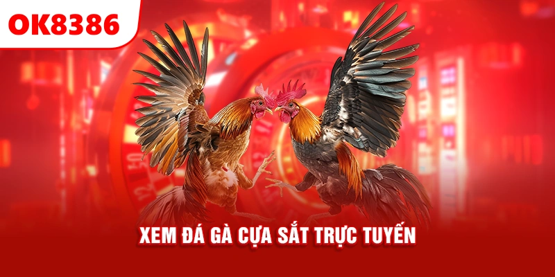 xem đá gà cựa sắt trực tuyến