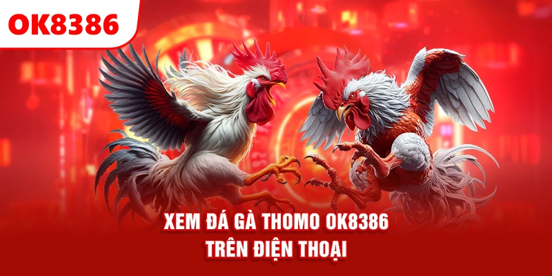 xem đá gà Thomo OK8386 trên điện thoại