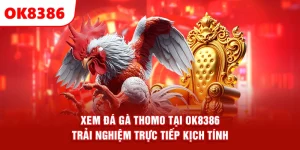Xem Đá Gà Thomo Tại OK8386 – Trải Nghiệm Trực Tiếp Kịch Tính