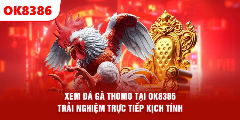 Xem Đá Gà Thomo Tại OK8386 – Trải Nghiệm Trực Tiếp Kịch Tính